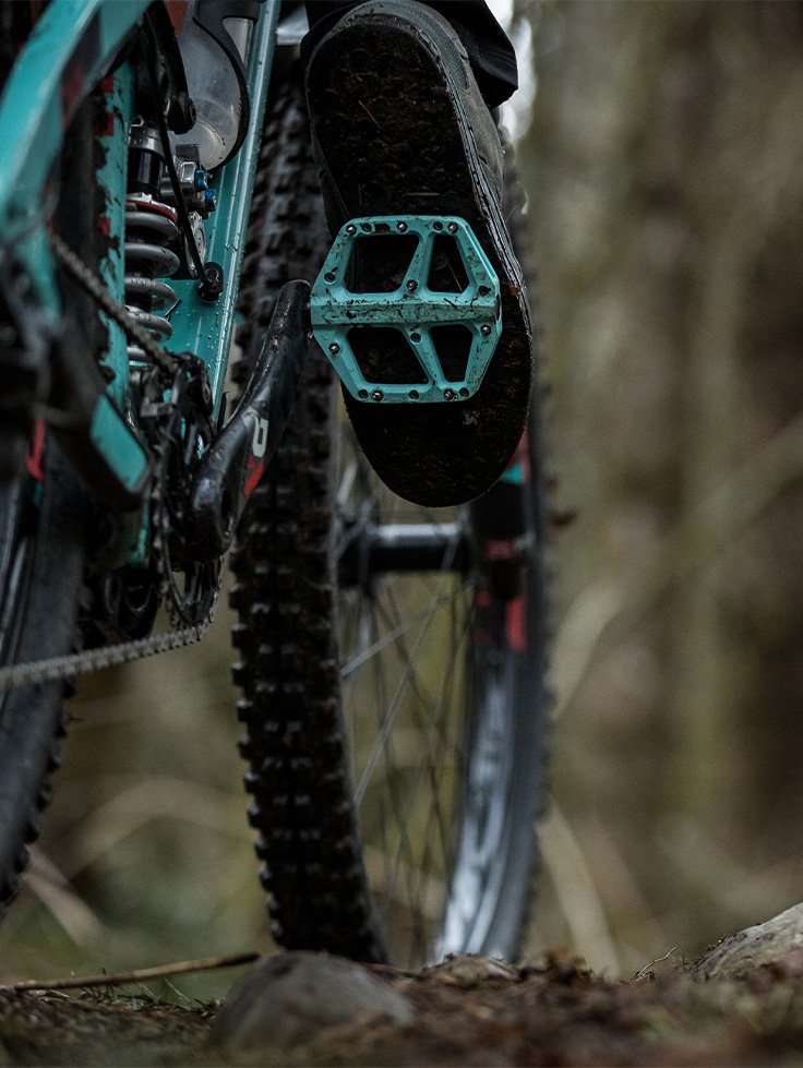 trail-this